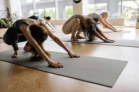 Weekday Yoga (No Puppy)