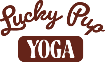 Lucky Pup Yoga